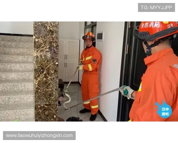 华体会官网安全漏洞防范措施全面介绍保障用户权益 华体会官网安全漏洞防范措施全面介绍保障用户权益