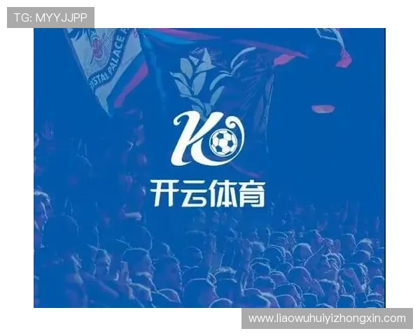 开云体育下载最新版与旧版本对比，体验升级带来的巨大改进与新功能亮点